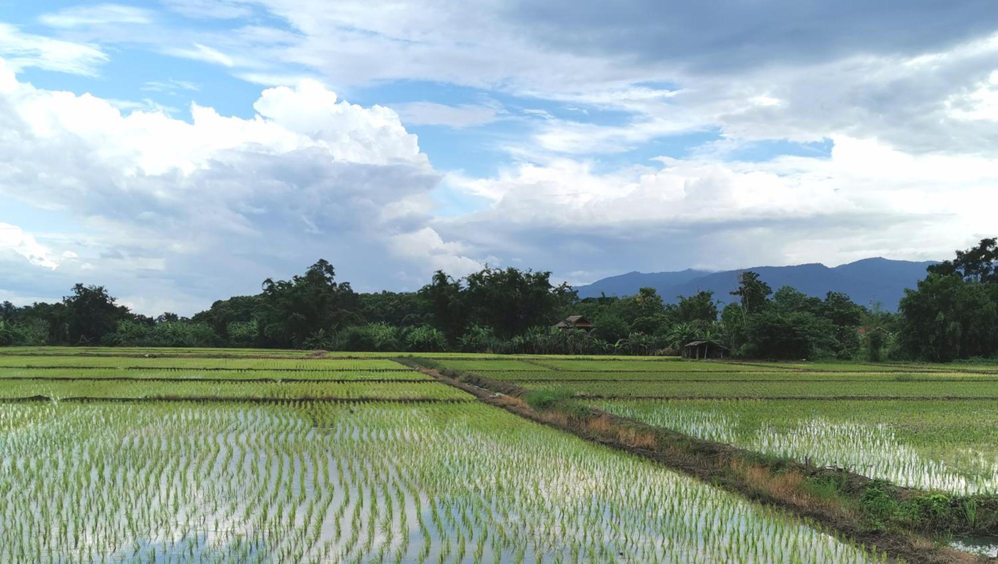 Wichouda Homestay Chiang Dao Luaran gambar